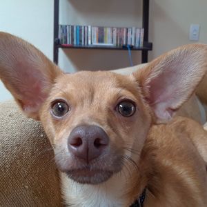 Meet your Posher, Beverly